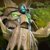 Treant Protector