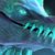 Winter Wyvern